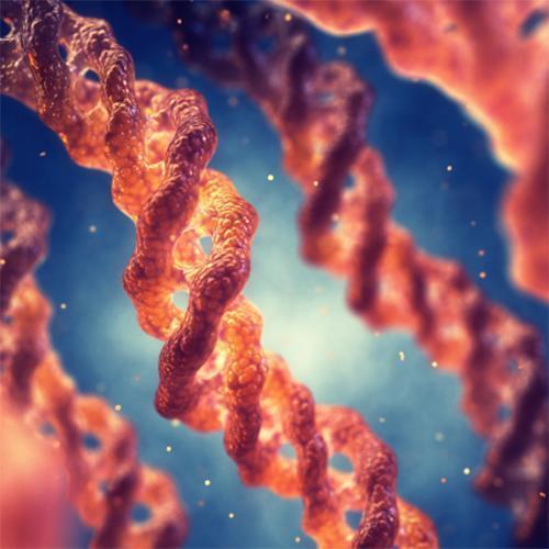 Collagen Trans-dermal Delivery