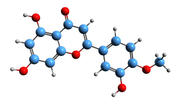 Diosmin: The Natural Secret to Healthy Hair Growth