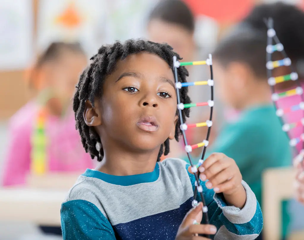 Epilepsy and Genetics: Exploring the Link between the Two
