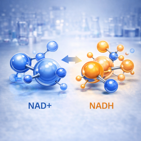 NAD vs NADH: What Is the Difference?