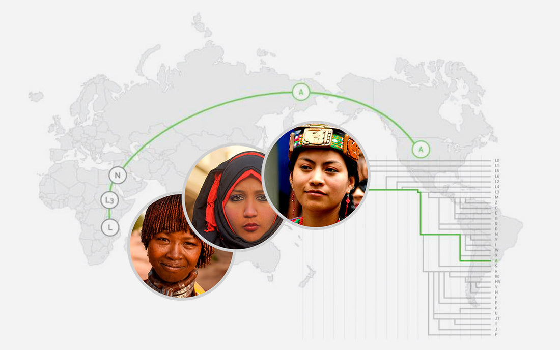 Unraveling the Genetic Diversity of Southern India and Sri Lanka with the TellmeGen DNA Starter Kit